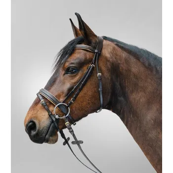 Vybavení pro koně STAR Uzdečka Diamond Barva: Růžová, Velikost: Cob