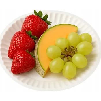 Jednorázové nádobí Papírové talíře na jedno použití dezertní kulaté 18 cm 100 ks eko