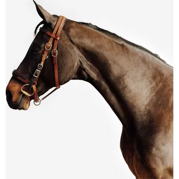 Věšák na sedlo a uzdečku FOUGANZA Uzdečka/ohlávka na vyjížďky Escape FS