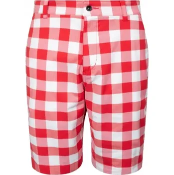 Pánské kraťasy Golfové kraťasy Nike Dri-Fit Chino Plaid s potiskem Picnic DH1294657 Kraťasy vel.