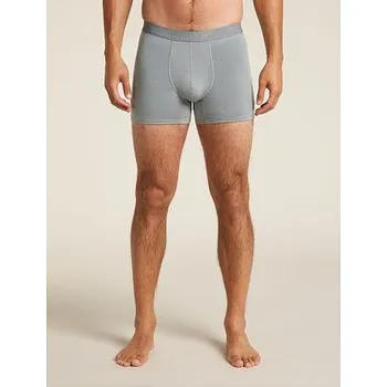 Pánské termo spodní prádlo Icebreaker Merino 125 ZoneKnit Boxers Mens alloy M