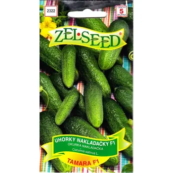 Semeno Okurka nakladačka Tamara F1 (jemnoostná, partenokarpická) 12/2025