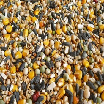 Krmivo pro ptáka Krmná Směs pro holuby 1kg