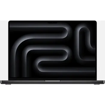 Notebook Notebook Apple MacBook Pro 14 14,2" Apple M4 36 GB / 1000 GB černý