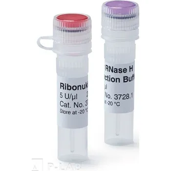 Příslušenství ke svářečce RIBONUKLEÁZA H (Popis: RIBONUKLEÁZA H, 5 U/µl, pro mol. biologii, Balení: 50 µl)