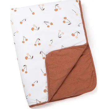 Dětská deka Deka DOOMOO Dream 75x100 bavlna 2025, DS28