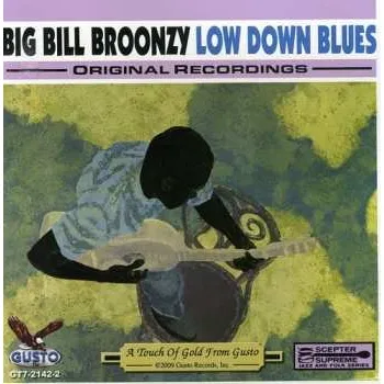 Zahraniční hudba CD Big Bill Broonzy: Low Down Blues 2013