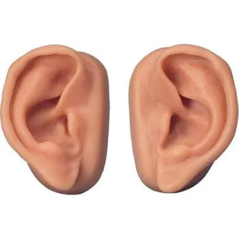 Akupunkturní uši, sada pro 10 studentů (Anatomické modely)