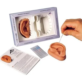 Souprava uší, pravé a levé ucho (Anatomické modely)