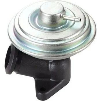 Palivový systém AGR-Ventil MAGNETI MARELLI EV105