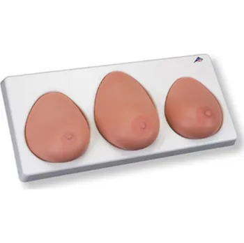 Prsní samoošetrovací model, tři samostatné prsa na základně (Anatomické modely)