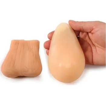 Model BSE/TSE, tréninková sada (Anatomické modely)