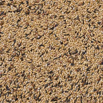 Krmivo pro ptáka Deli Nature 54 - Canary Breeding With Perilla 4kg (Mix pro šampiony!)