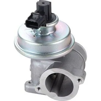 Palivový systém AGR-Ventil MAGNETI MARELLI EV109