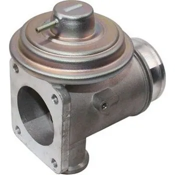 Palivový systém AGR-Ventil MAGNETI MARELLI EV091