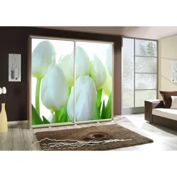 Šatní skříň Šatní skříň PENELOPA 205 Tulipány