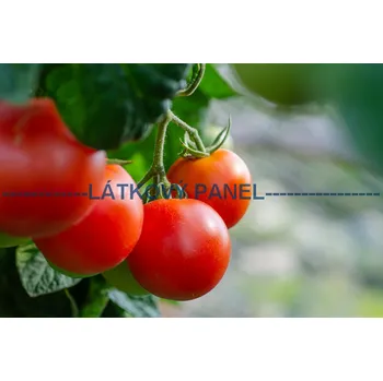 Panel bavlna - OZ-21