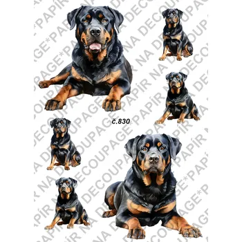 Umělecký papír Rýžový a soft papír na decoupage - Rotvailer - KB0830 Materiál: Soft, Rozměr: A4