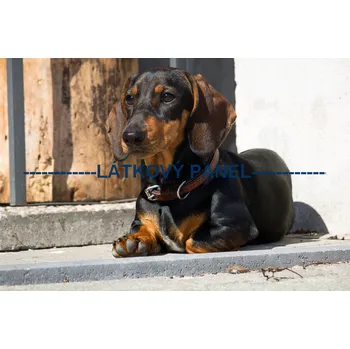 Panel bavlna - PS-10