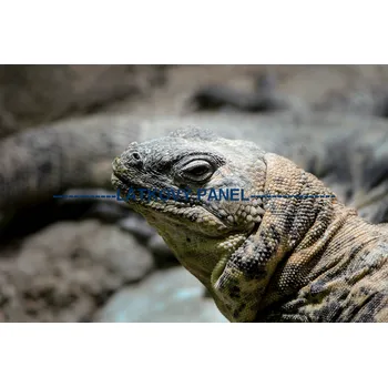 Panel bavlna - ZH-14a