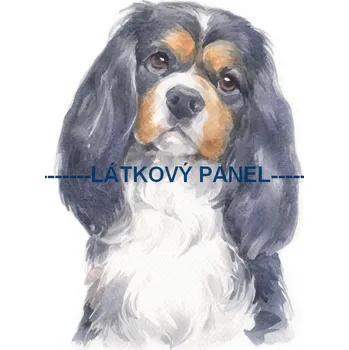 Panel bavlna - PS-41 Velikost: 30x20cm