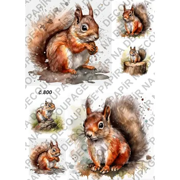 Umělecký papír Rýžový a soft papír na decoupage - Veverka - KB0800 Materiál: Soft, Rozměr: A4