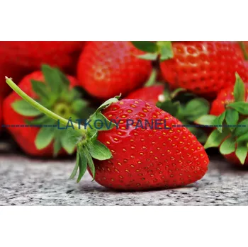 Panel bavlna - OZ-08