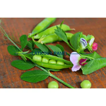 Panel bavlna - OZ-28