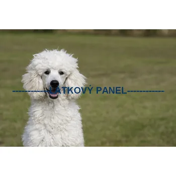 Panel bavlna - PS-21a