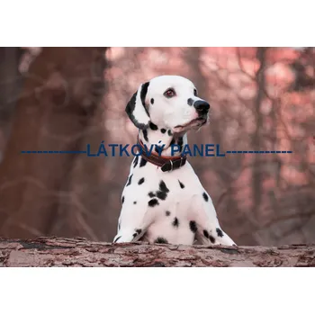 Panel bavlna - PS-07 Velikost: 20x13cm