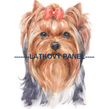 Panel bavlna - PS-42 Velikost: 30x20cm