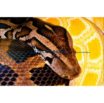 Panel bavlna - ZH-15a