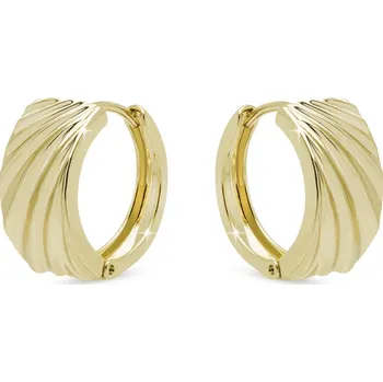 Náušnice Biju Pozlacené kruhové náušnice 3574 Zlatá