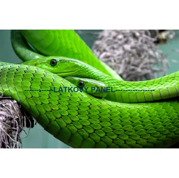 Panel bavlna - ZH-19 Velikost: 20x13cm