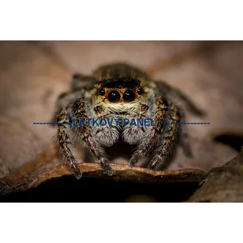 Panel bavlna - PA-02a