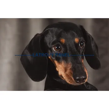 Panel bavlna - PS-02a