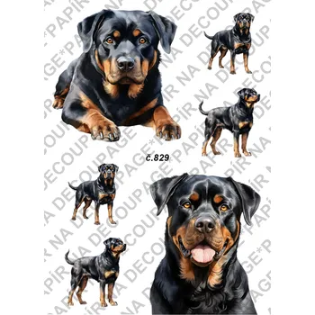 Umělecký papír Rýžový a soft papír na decoupage - Rotvailer - KB0829 Materiál: Soft, Rozměr: A4