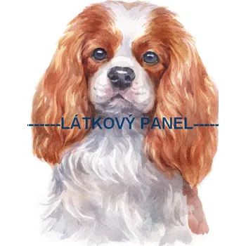 Panel bavlna - PS-44 Velikost: 30x20cm