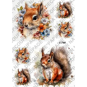 Výtvarný papír Rýžový a soft papír na decoupage - Veverka - KB0798 Materiál: Rýžový papír, Rozměr: A4