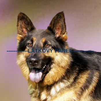 Panel bavlna - PS-20 Velikost: 30x30cm