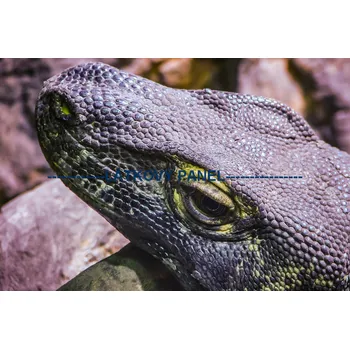 Panel bavlna - ZH-12a