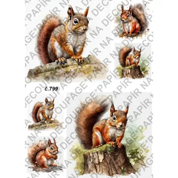 Umělecký papír Rýžový a soft papír na decoupage - Veverka - KB0799 Materiál: Soft, Rozměr: A4