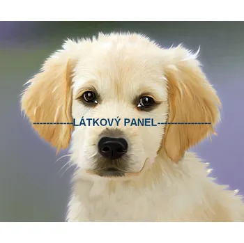 Panel bavlna - PS-03 Velikost: 40x40cm