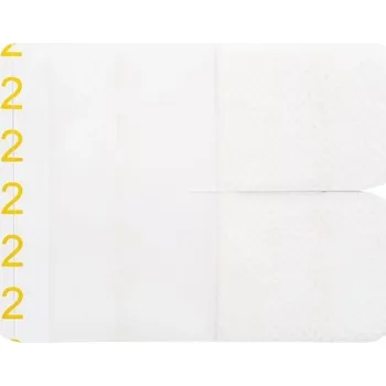 Náplast ElastoDERM I.V. foliové krytí IV kanyly, 5,8cmx8cm, sterilní