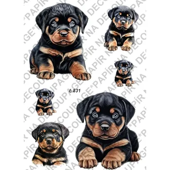 Umělecký papír Rýžový a soft papír na decoupage - Rotvailer - KB0831 Materiál: Soft, Rozměr: A4