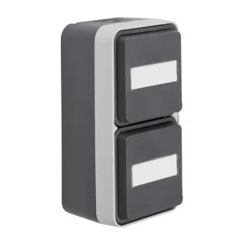 Elektrická zásuvka Dvojzásuvka SCHUKO s dětskou pojistkou, svislá s popisovým polem, komplet., IP 55, Berker W.1, sv. šedá, mat