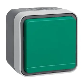 Elektrická zásuvka Zásuvka SCHUKO a zelenou klapkou, komplet., IP 55, Berker W.1, sv. šedá, mat