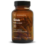 Herbavia Šišák bylinný extrakt 60 cps.