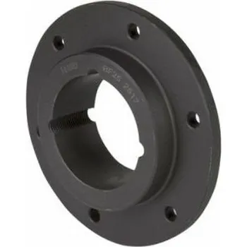 Demontovatelný unašeč BF 25 pro Taper Lock 2517