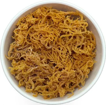 Přírodní produkt Vitalvibe Irský mech 1kg